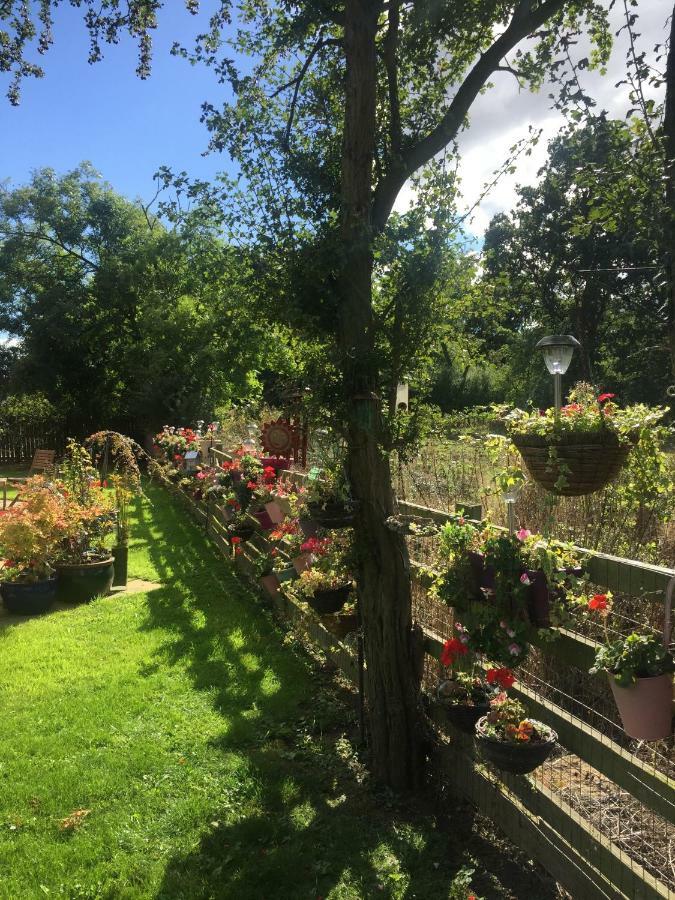 Highbury House, Warm And Welcoming. Leilighet Darlington  Eksteriør bilde